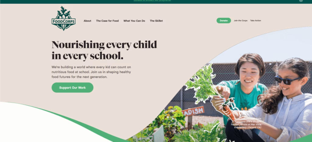 Nonprofit Websites